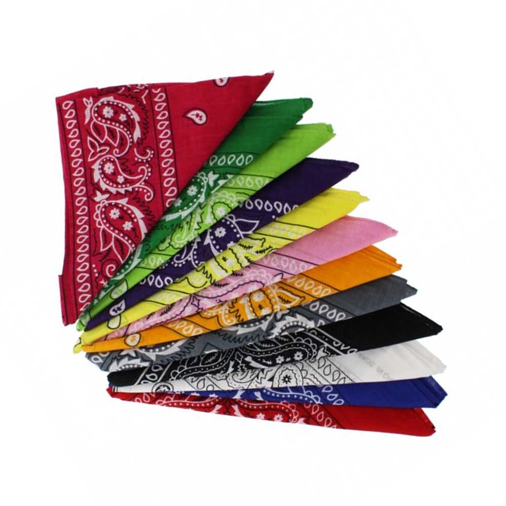 Zac's Alter Ego - Paisley pack Bandana - Multicolore